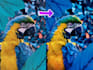 do adobe photoshop editing and retouching
