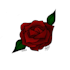 create an amazing custom tattoo design for you
