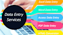 do perfect data entry, web research and copy paste