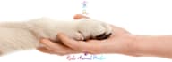 send powerful pet distant reiki healing