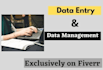 do data entry, data management and data collection