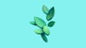 create beautiful HTML5,CSS and js animation