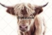 write articles or blog posts about agriculture and farming