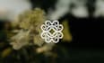 design a clean, geometric, modern celtic logo