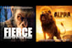 design a professional movie poster or a poster design