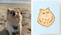 draw your pet in my style