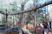 provide garden development and maintenances  services