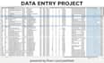 do data entry, web research, data cleaning, virtual assistant tasks