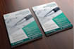do professional flyer designs for your business