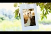 do wedding birthday anniversary valentine video slideshow
