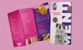 design amazing corporate brochure in 24h