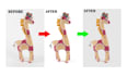 do white or transparent background, in png