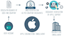 help you to get apple developer account