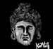 draw amazing caricatures and cartoons of you
