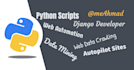 be your python developer for web services