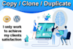 copy clone or duplicate any website design