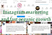 instagram promotion for super fast instagram growth