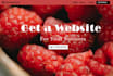 design, redesign professional squarespace website for you