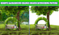 clean and clear photo background removal or change color and retouching picture