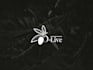 create amazing logo intro animation