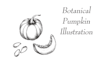 create botanical and medical ink line art