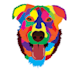 do your pet caricature