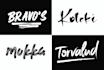 design a unique handwritten signature logo