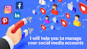 be your social media manager