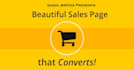 write persuasive sales page,sales copy,landing page