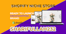build shopify niche store for passive income