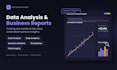 perform data analysis and create insightful business reports