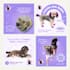 design meta ad creatives and static ads as a canva designer