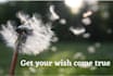 cast a powerful custom wish spell for manifestation