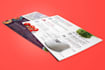design a professional business flyer, leaflet for your business