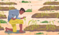 create animated videos to promote your product or brand