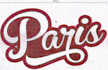 embroidery digitized logo designs service in 1 hour