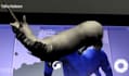 develop ar app using vuforia arcore arkit in unity
