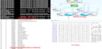 do malware analysis with report writing and teaching