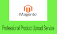 professionally upload products in your magento store
