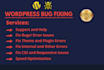 do wordpress issue fix, fix wordpress bugs, errors