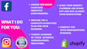 setup and optimize shopify, facebook, instagram, google ads
