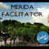 help you with anything related to merida, yucatan, mexico