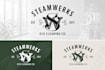 recreate your logo and redraw it as a vector svg file