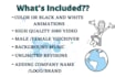 create a professional whiteboard animation explainer video