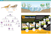 do medical banner static and PPT banner side go animation