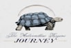 make creative turtle logo design your for brand