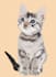 do amazing  illustration, creative work, vector tracing