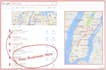 create best google local SEO strategy to dominate your niche