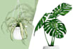 create scribble art for any plants