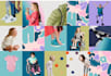 create color palettes and mood boards for startups, brands